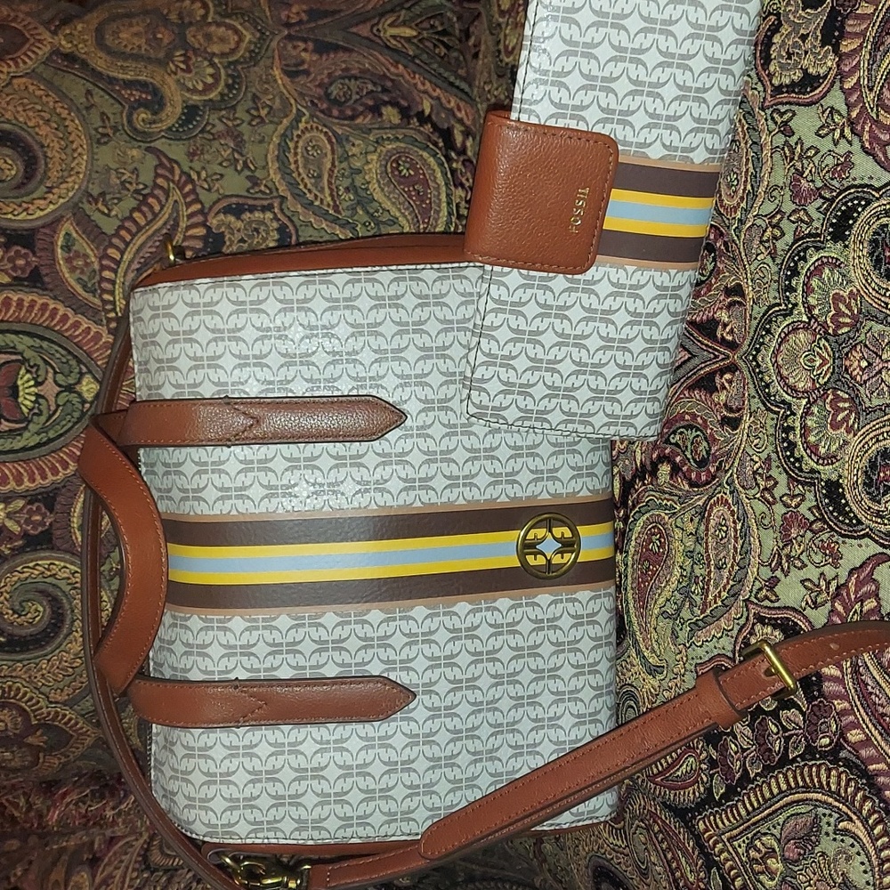 Fossil Rachel Satchel and wallet